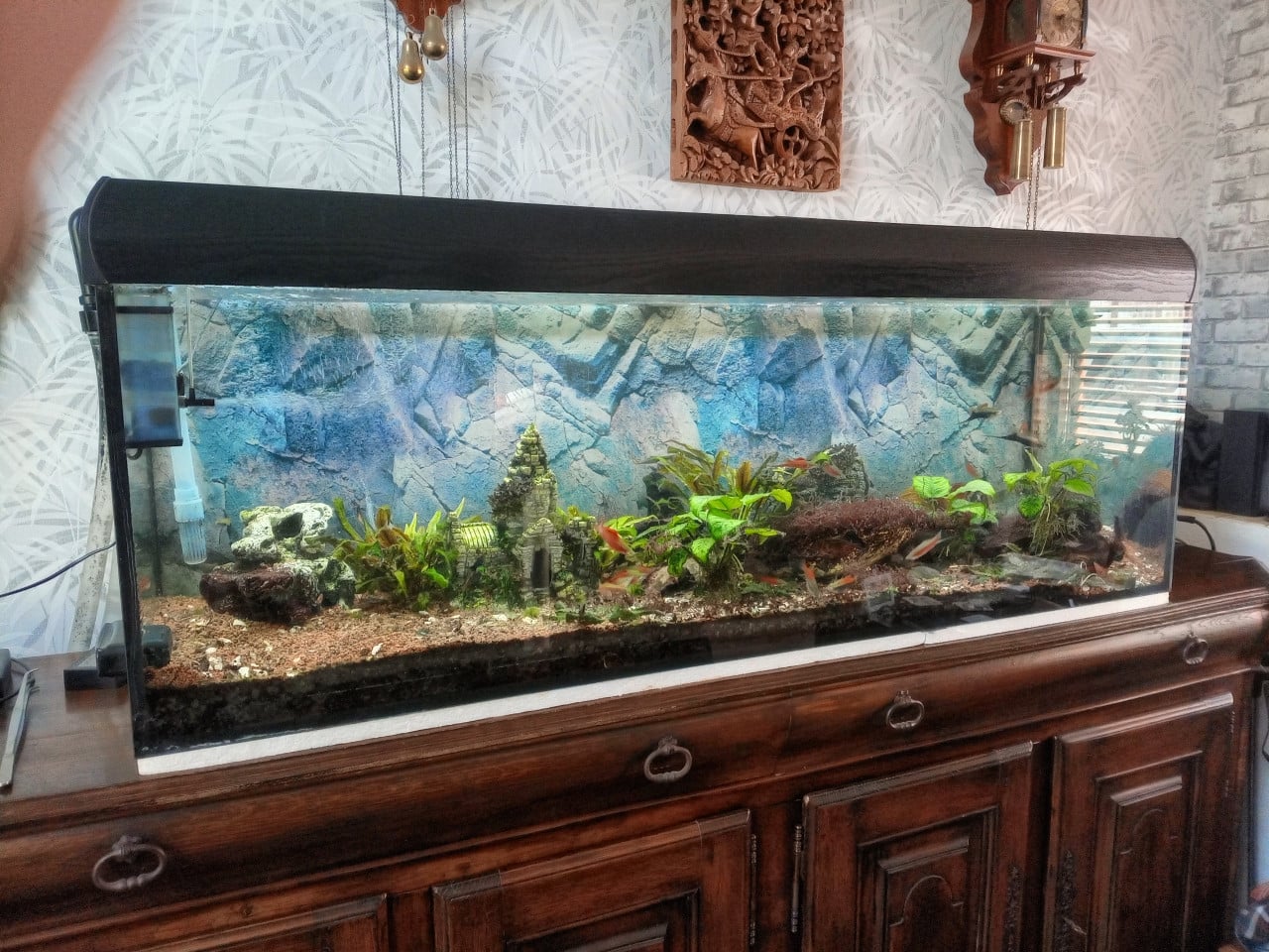 Aquarium 150x50x50 cm