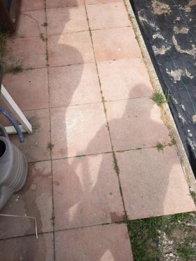 40x40 tegels  rode gratis