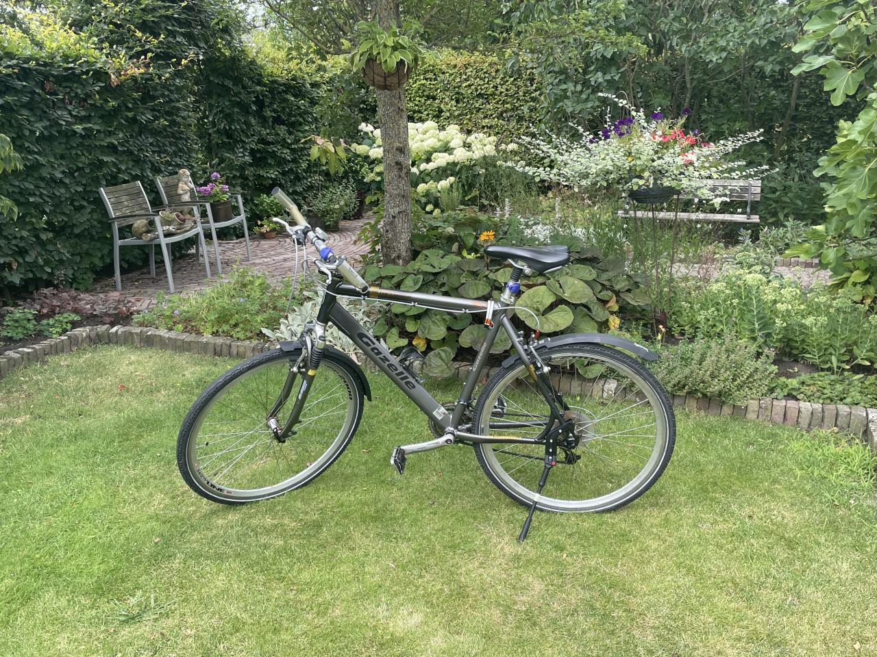 Gazelle Mountainbike