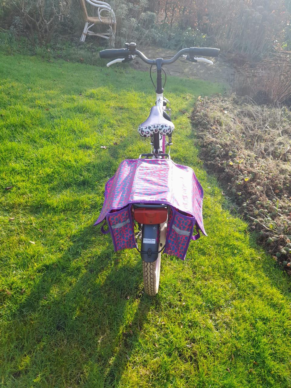 Z.g.a.n. Loekie meisjesfiets met bijpassende fietstassen (20 inch)