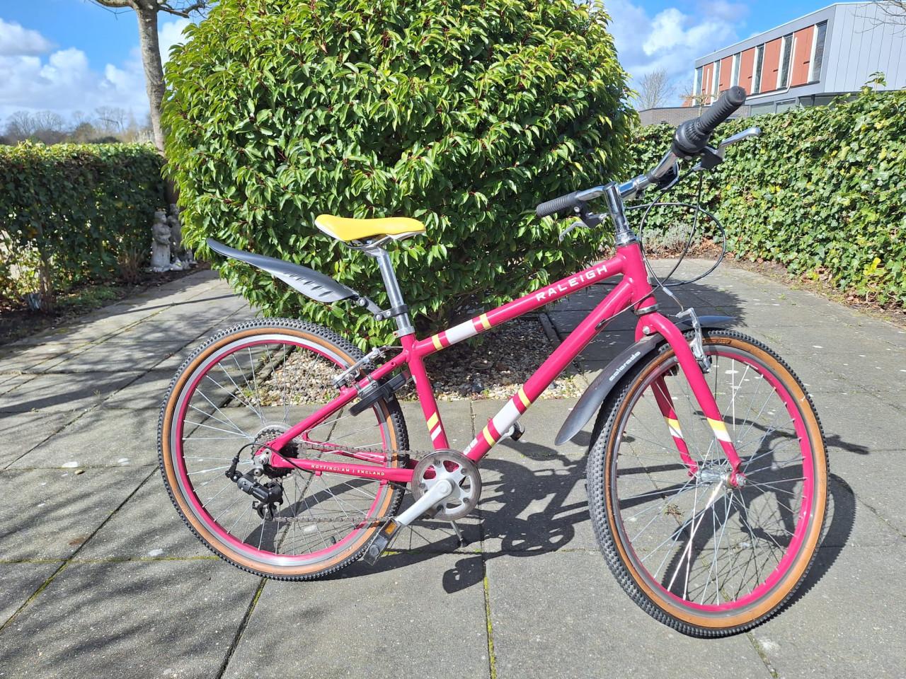 Mountainbike meisje Raleigh