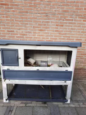Konijnenhok kunststof cavia knaagdieren incl 2 cavia’s Ferplast Grand Lodge