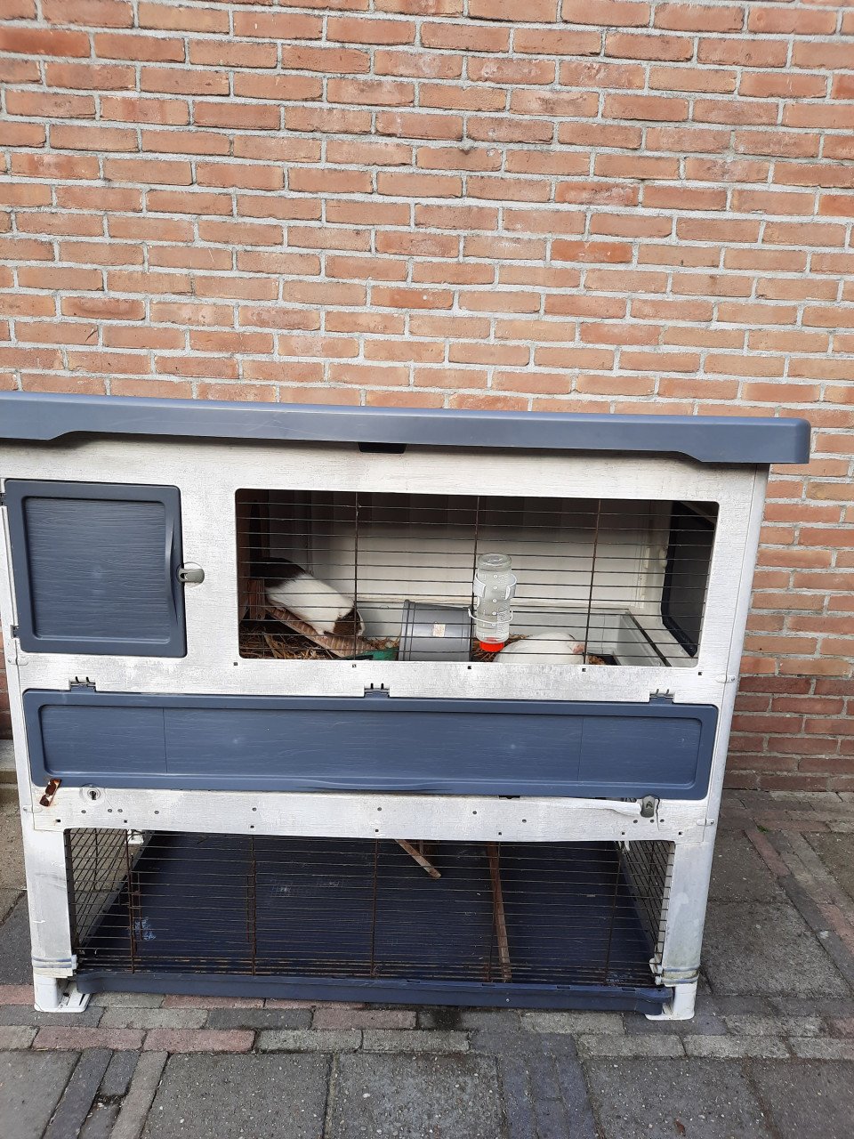 Konijnenhok kunststof cavia knaagdieren incl 2 cavia’s Ferplast Grand Lodge