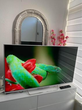 Sony Bravia X-Reality PRO 32 Inch (81cm) Smart Led tv zilver omlijsting