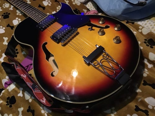 Cherrystone ES 225 T whit humbuckers (1957 style) += 22 jaar oud