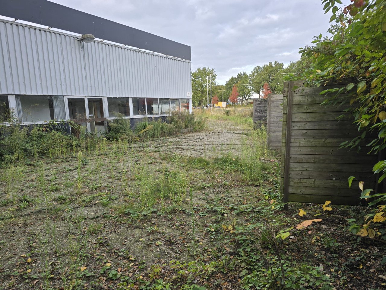 Tuinman