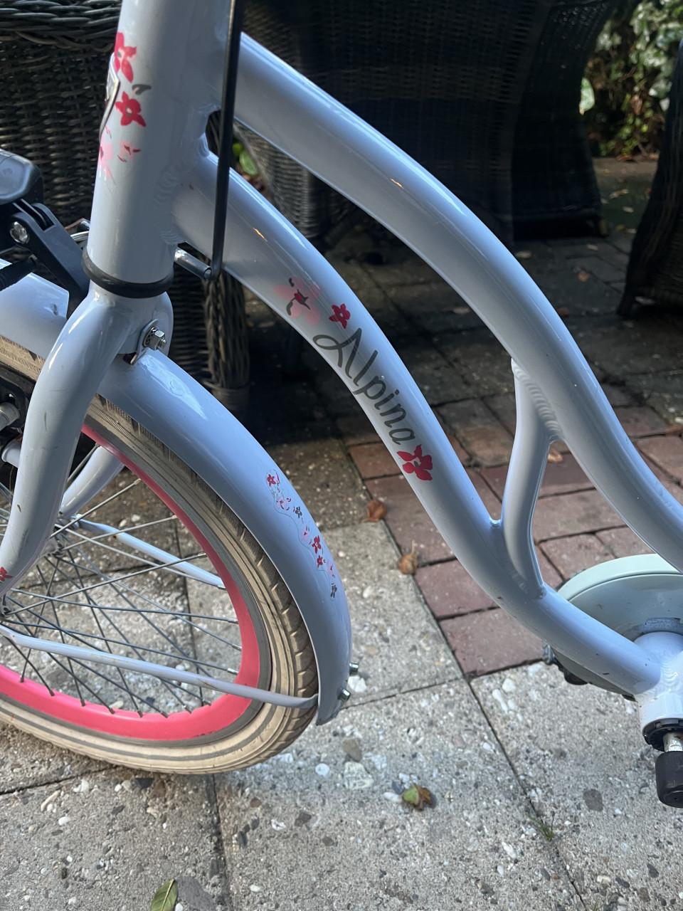 Meisjesfiets alpina 22 inch, 6-8 jaar