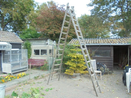 Houten ladder