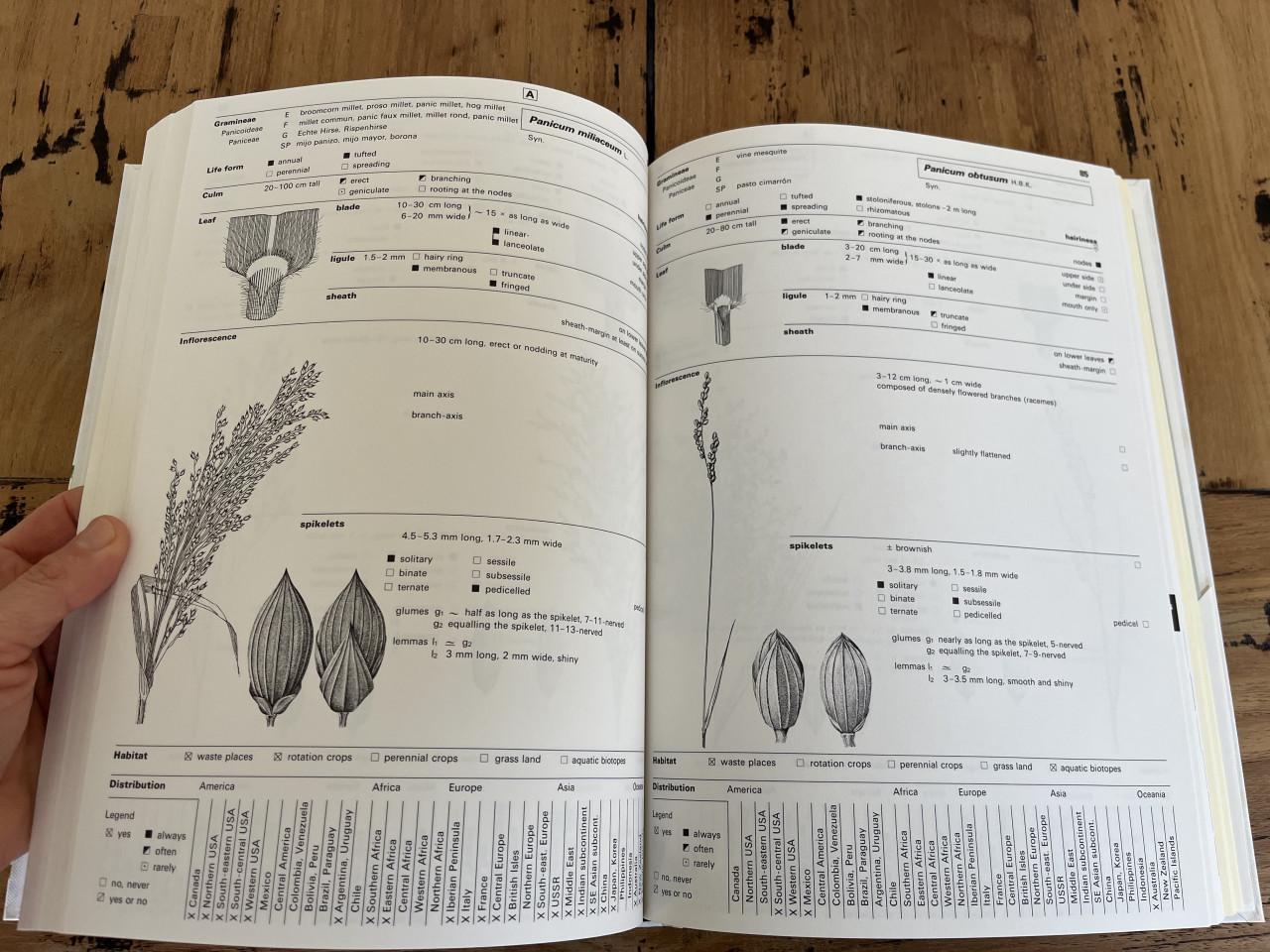 3 naslagwerken over onkruiden