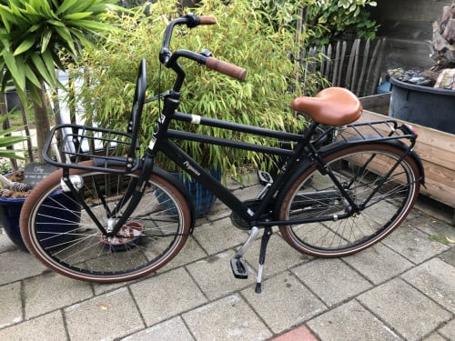 Pegasus City Bike