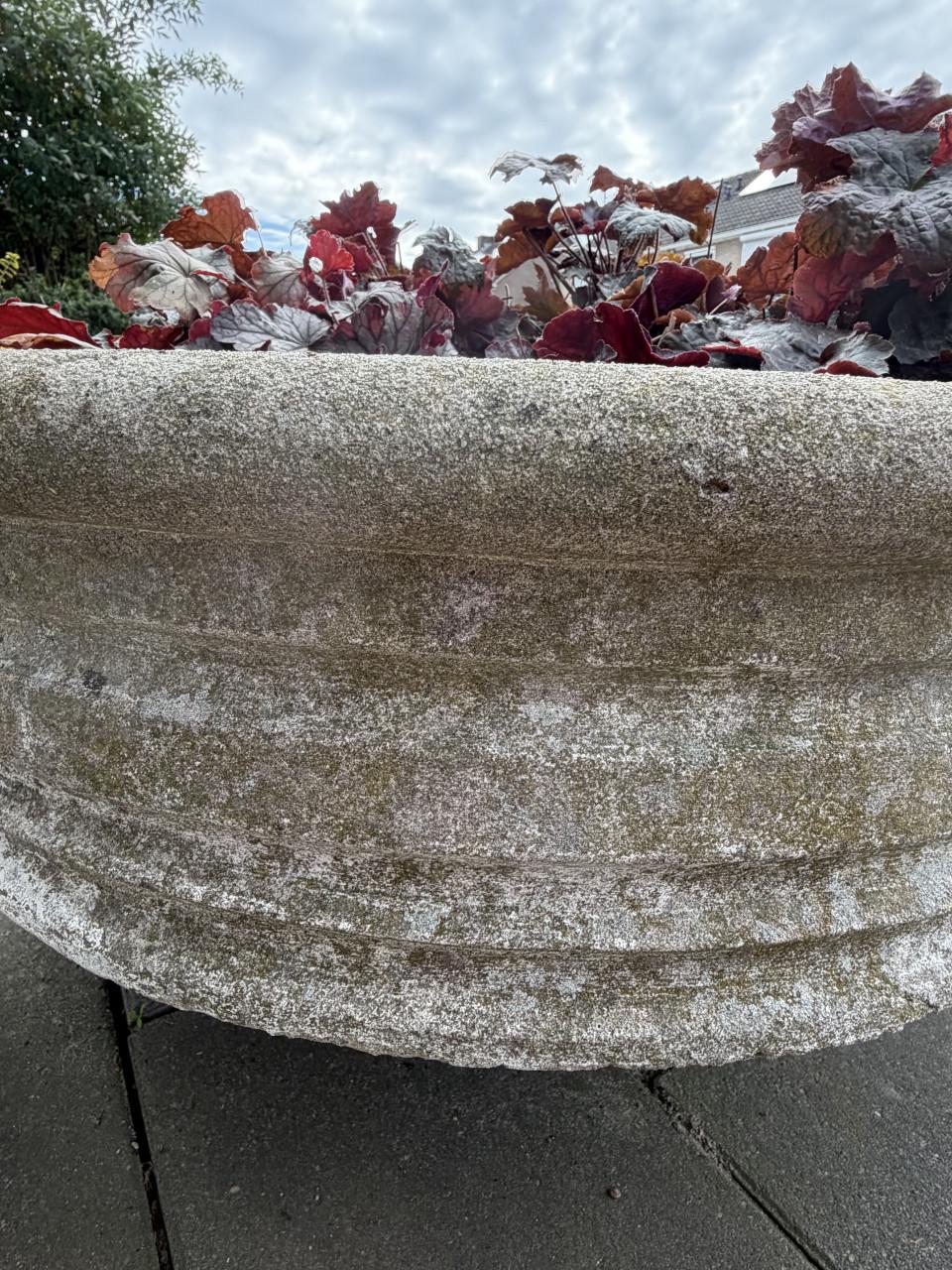Vintage plantenschaal beton Ø 70cm