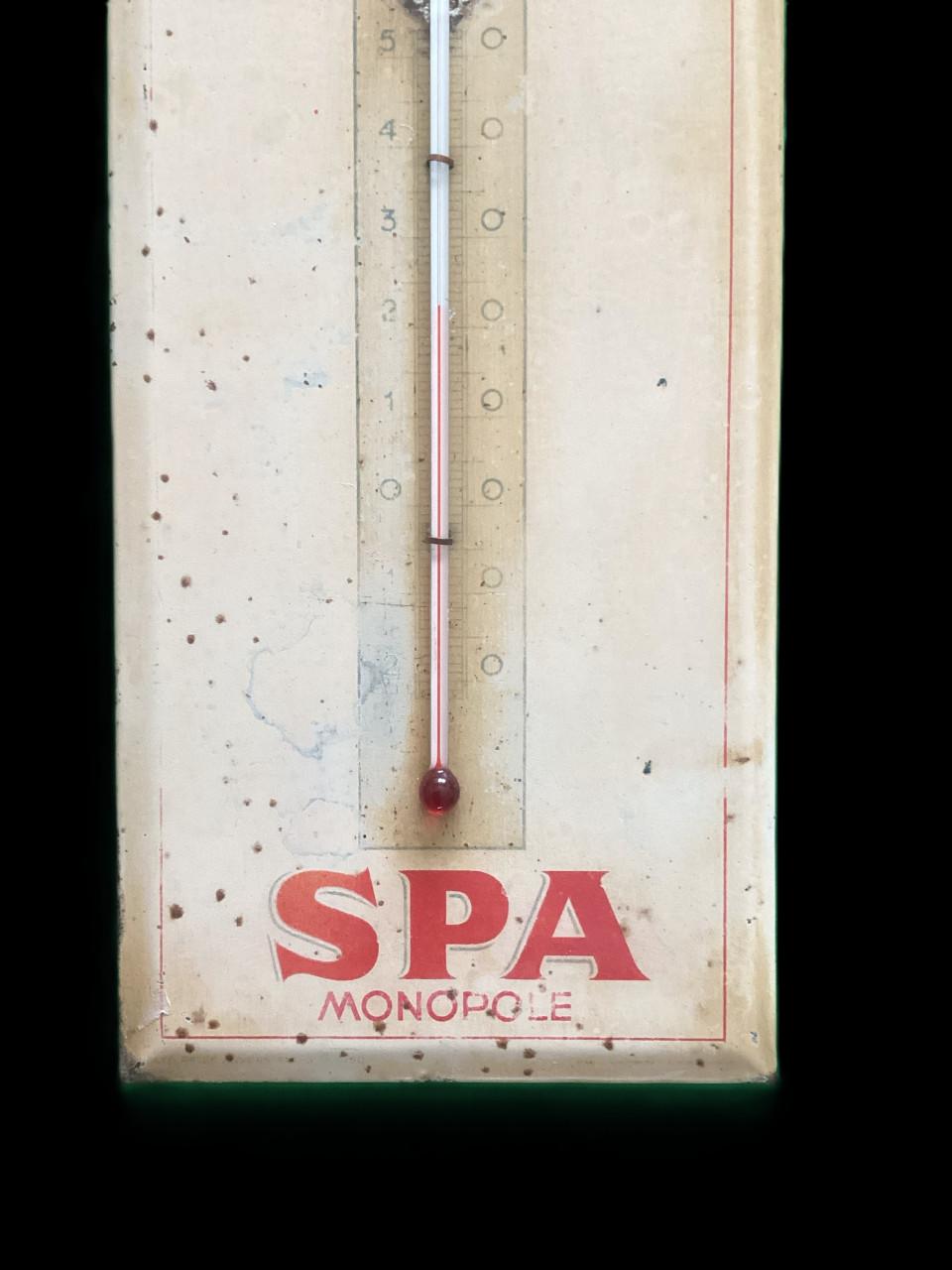 Spa thermometer