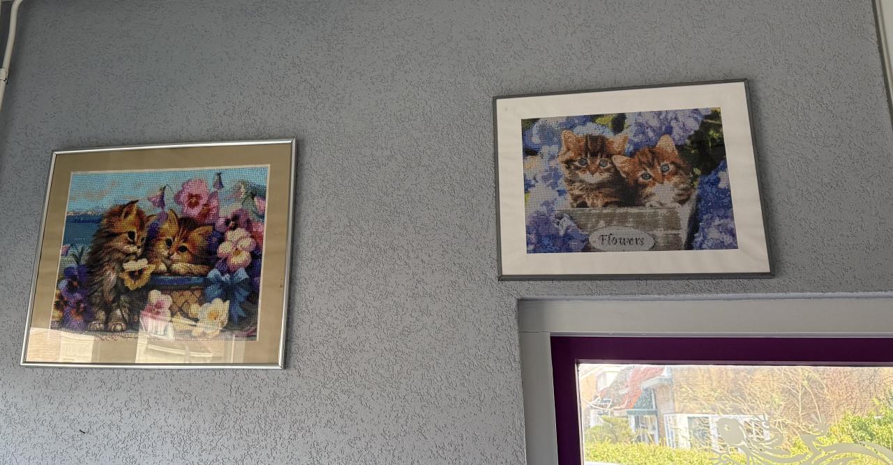 Borduur werkjes / daimantpainting ingelijst