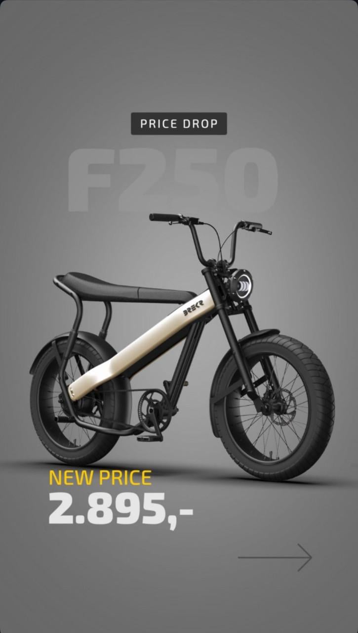 BREKR F250 stoere E-BIKE