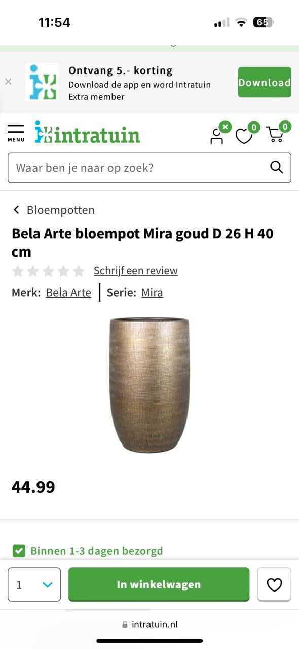 Twee bloempotten met planten, 40cm hoog, zo goed als nieuw