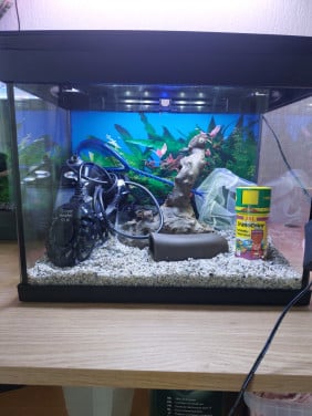 Aquarium 30 liter led