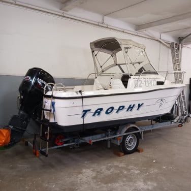 Bayliner Trophy + 115 pk Mercury + Pega trailer; inruil is mogelijk