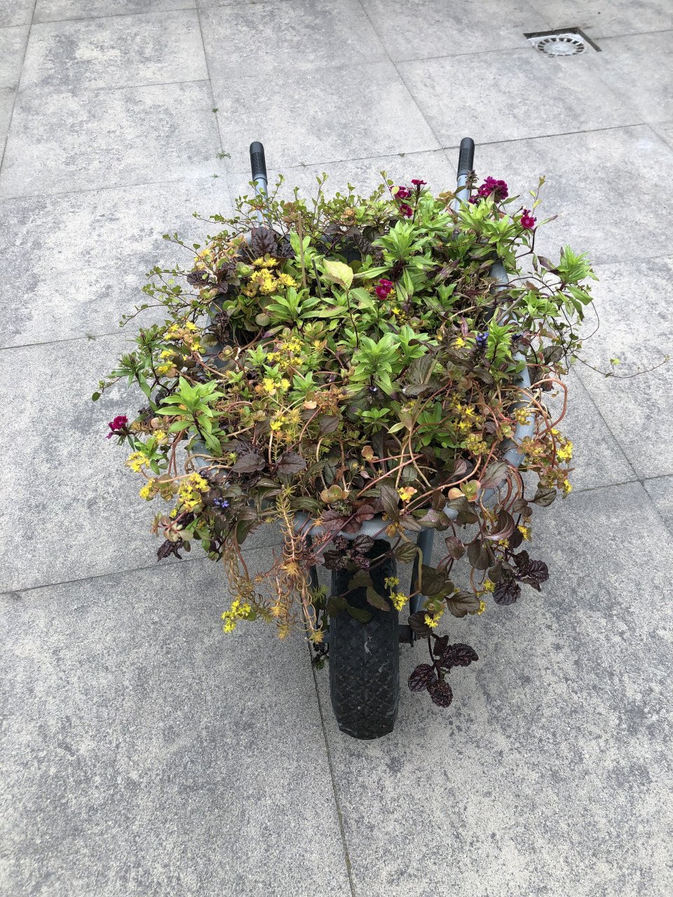 Kruiwagen plantenbak