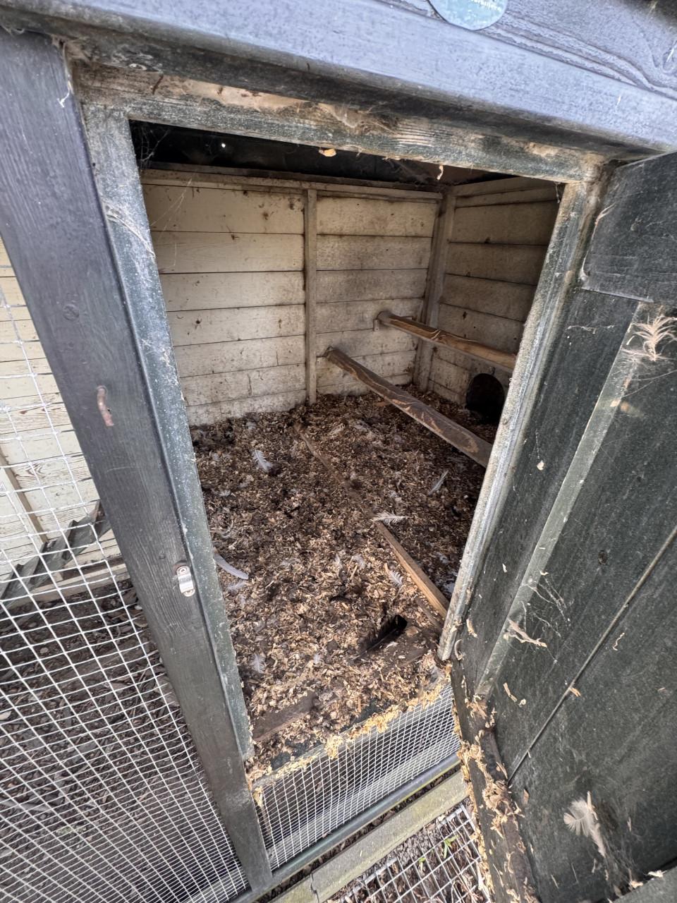 2 legkippen incl. hok