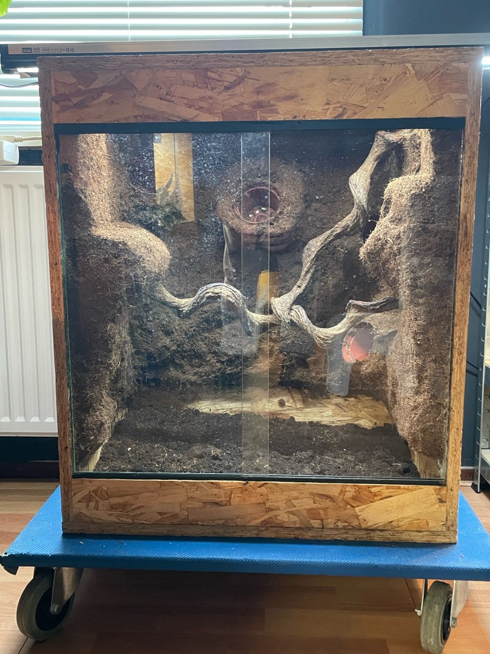 OSB terrarium