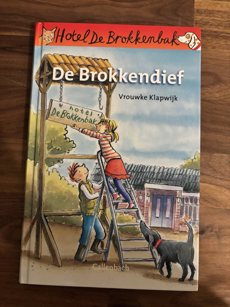 Diverse kinder en jeugdboeken