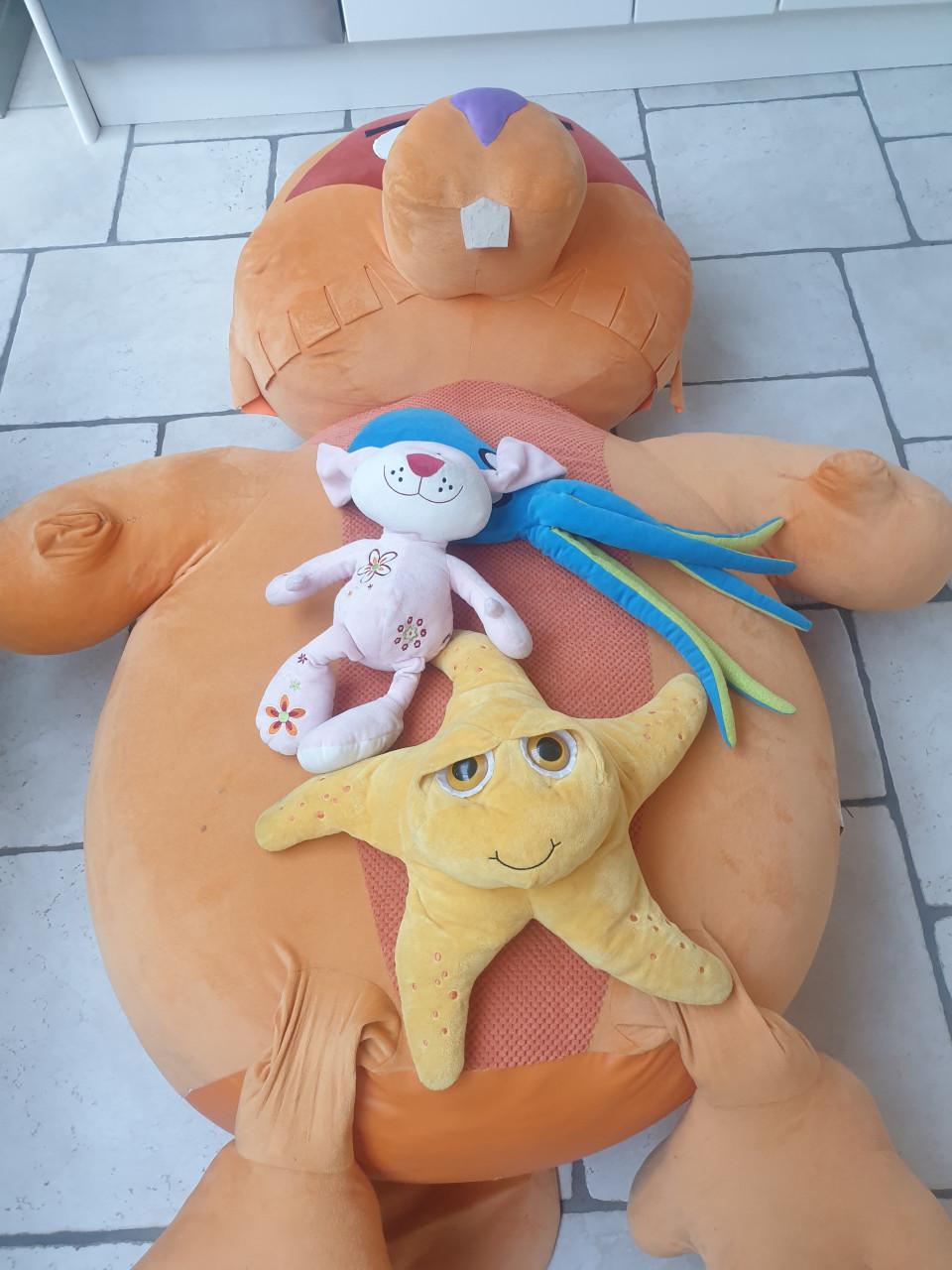 Gratis knuffels ophalen