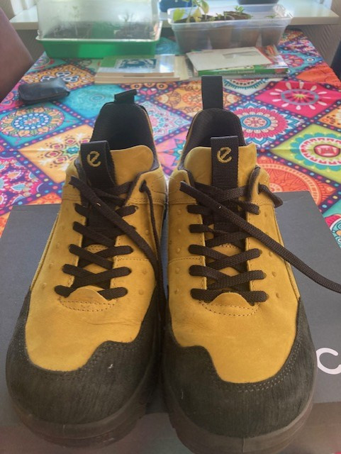 ECCO heren schoenen