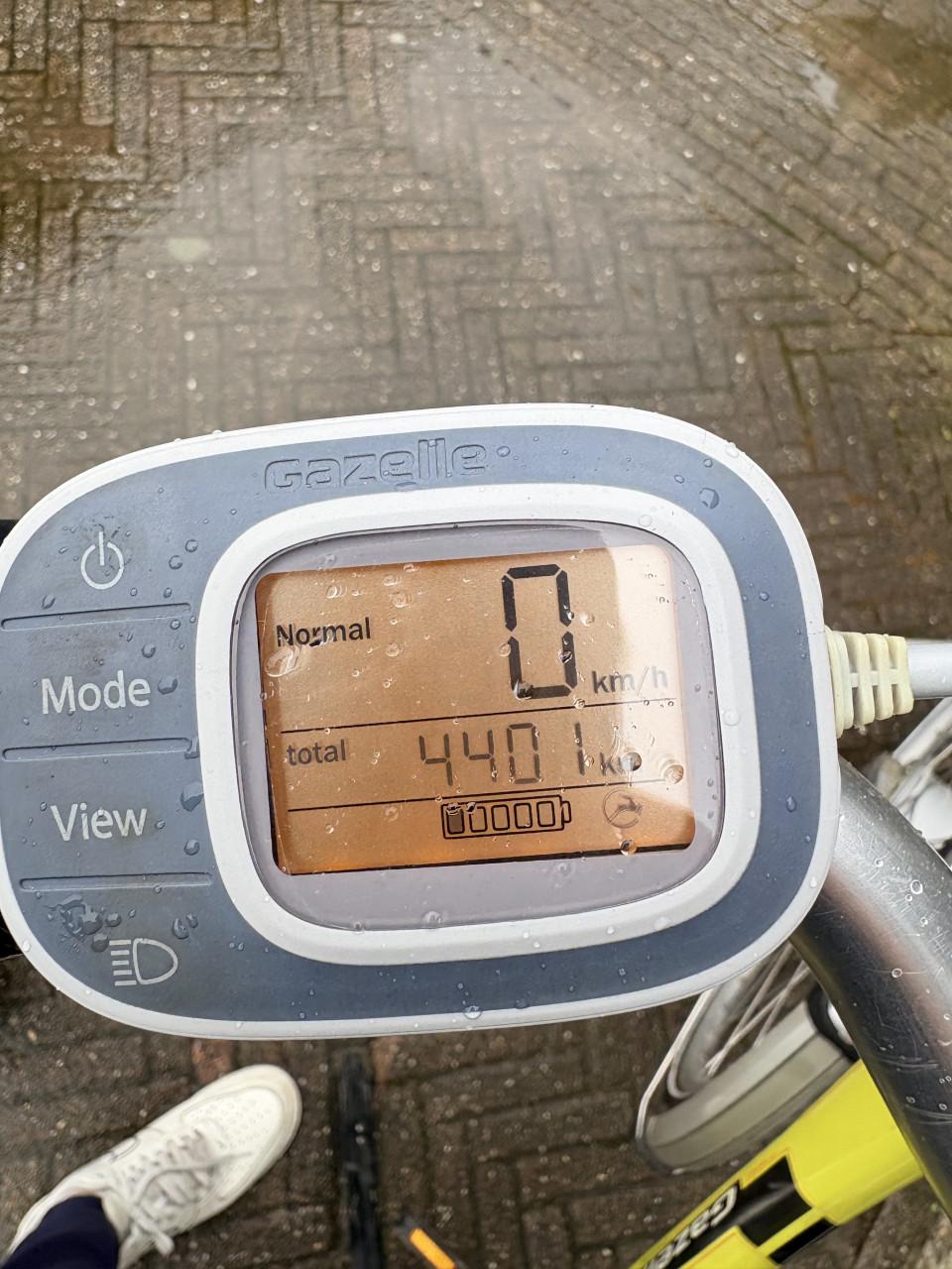 Gazelle Innergy Elektrische Damesfiets