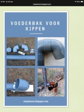 Vogelshow