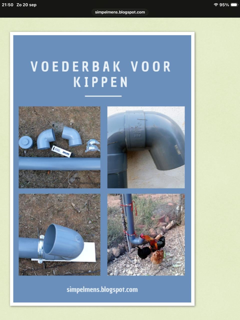 Vogelshow