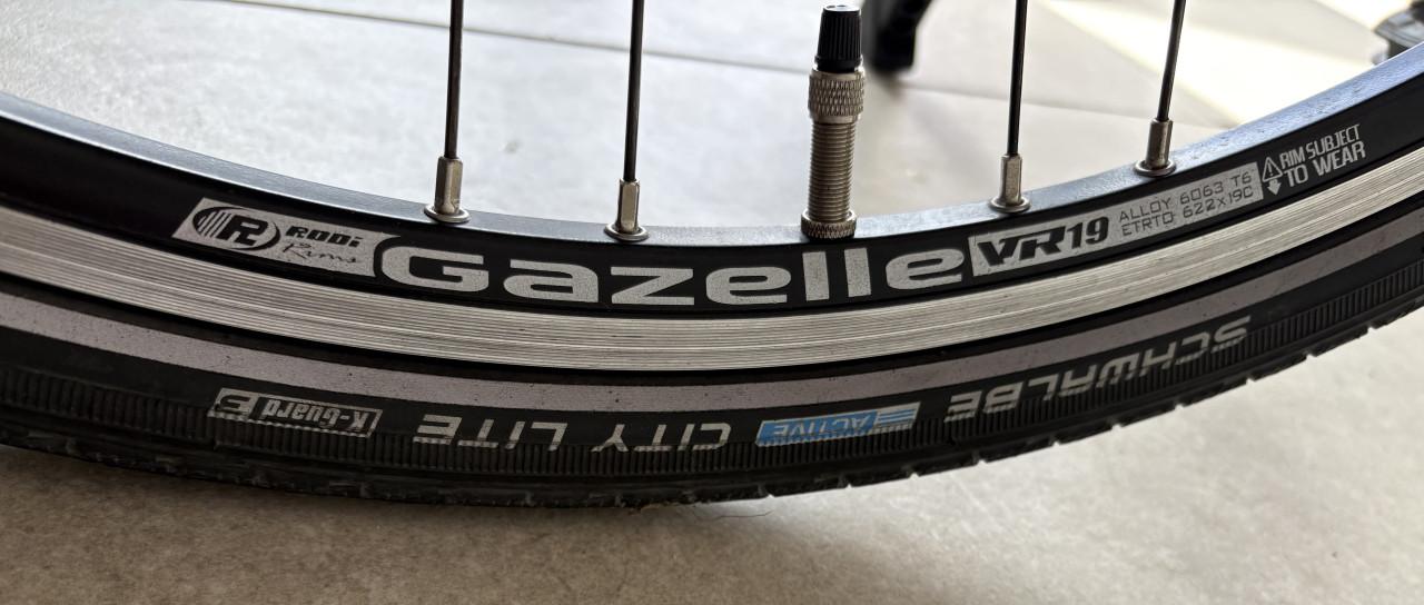 Gazelle chamonix T10 dames hmb - elektrisch