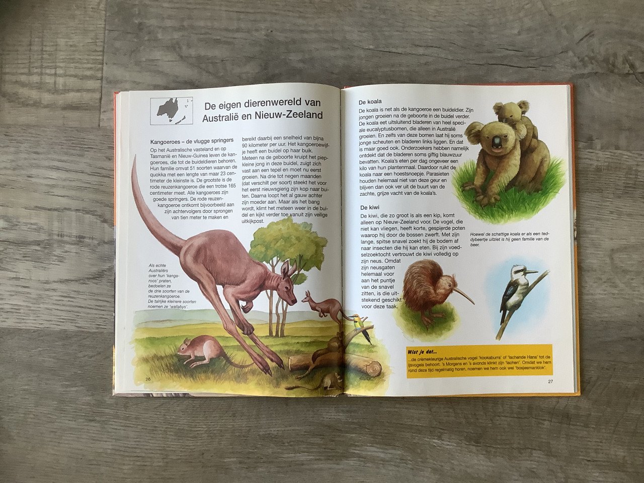 Boek, de grote dierenatlas voor kinderen