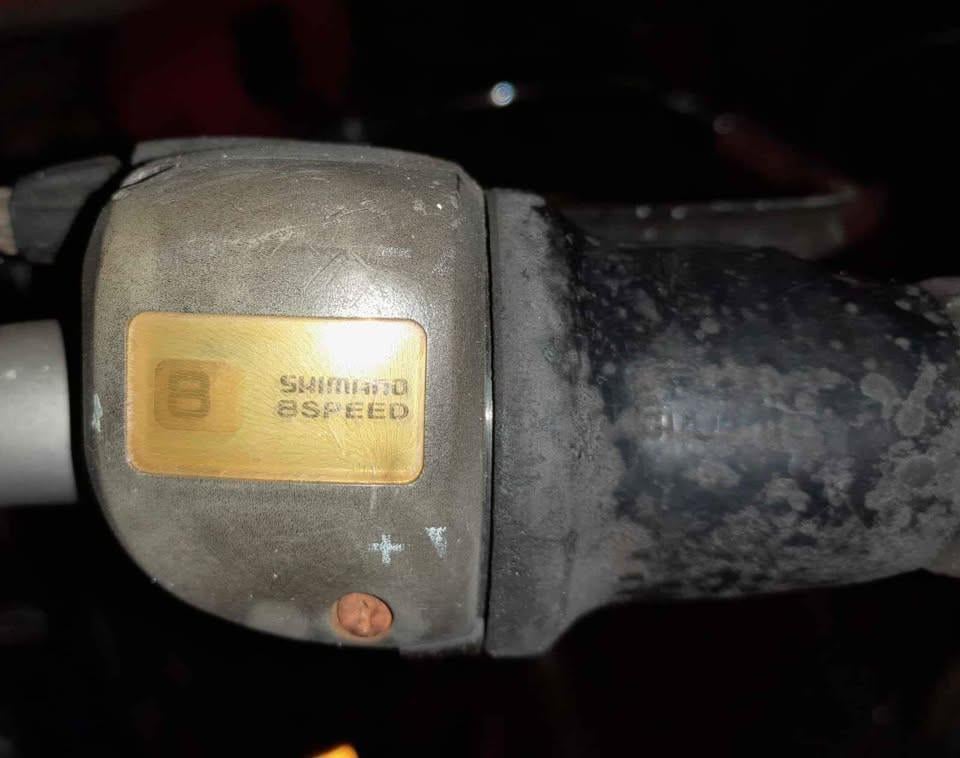 Damesfiets met 8 versnellingen