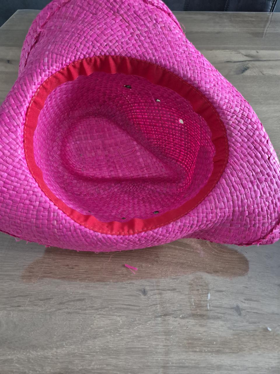 Cowboy hoed coebergh