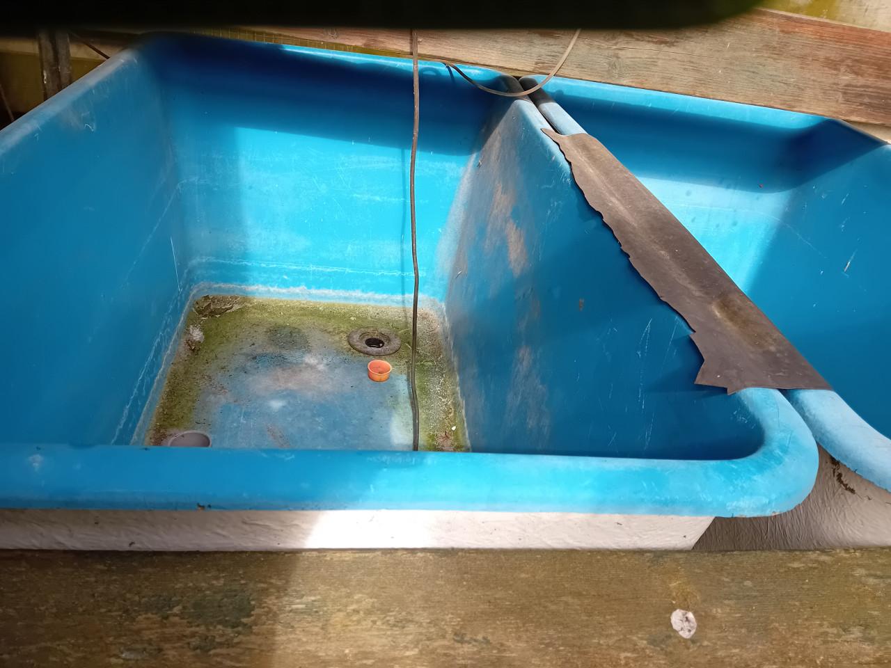 Quarantaine bakken van 1 m3 voor vijvervissen.