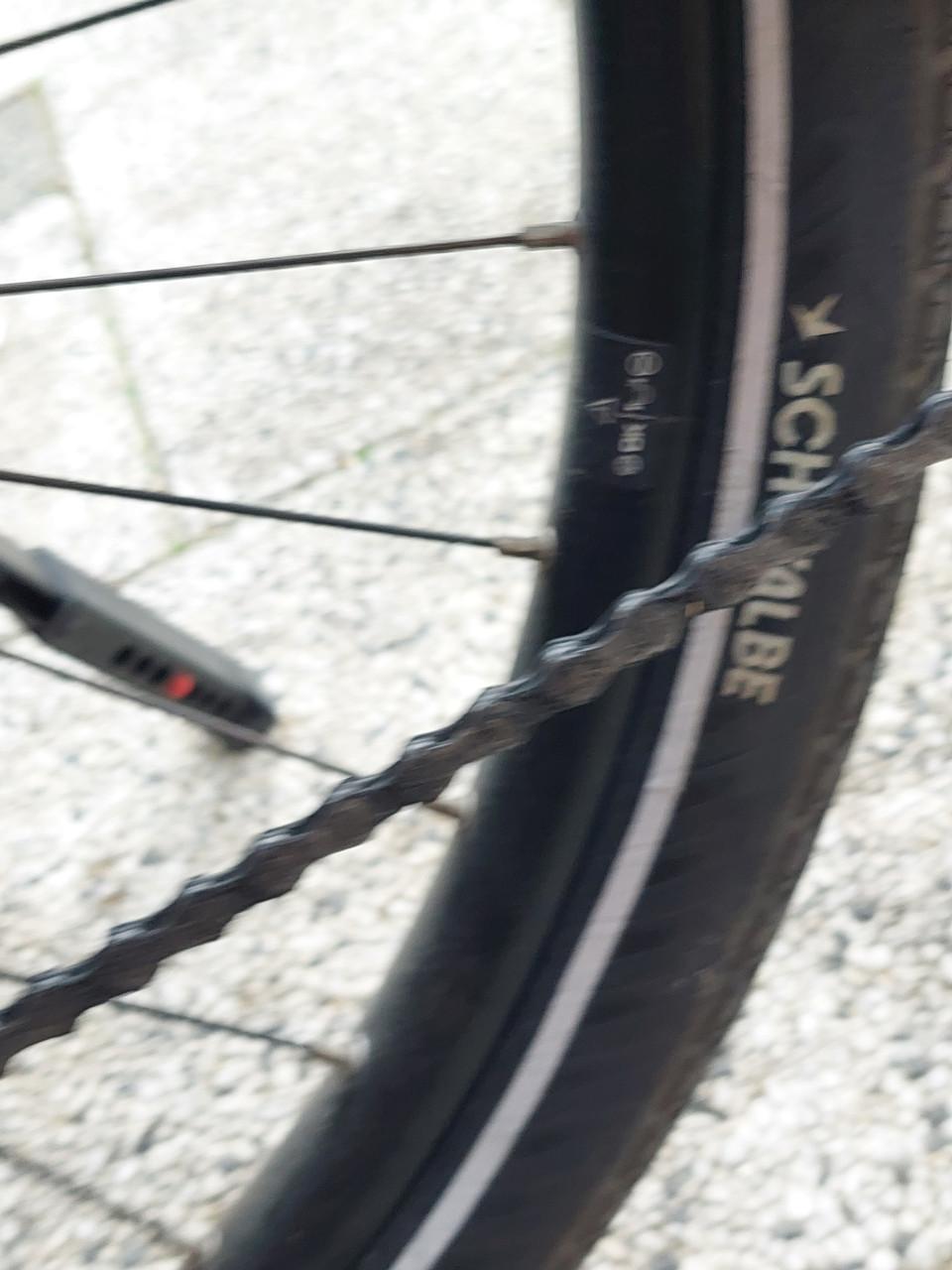 Gazelle Chamonix T10 grey/blue 53