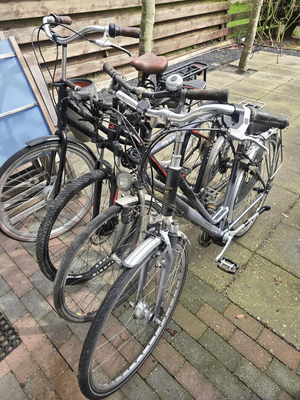 Fietsen Koga, Merida, Batavus, Gazelle