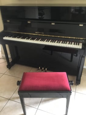 Piano Fred. Hoffstein