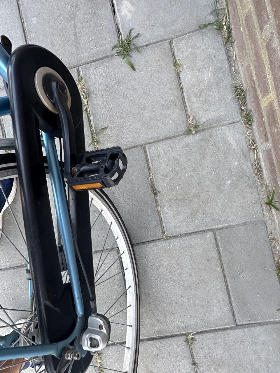 Opknapper dames Limit Impulse