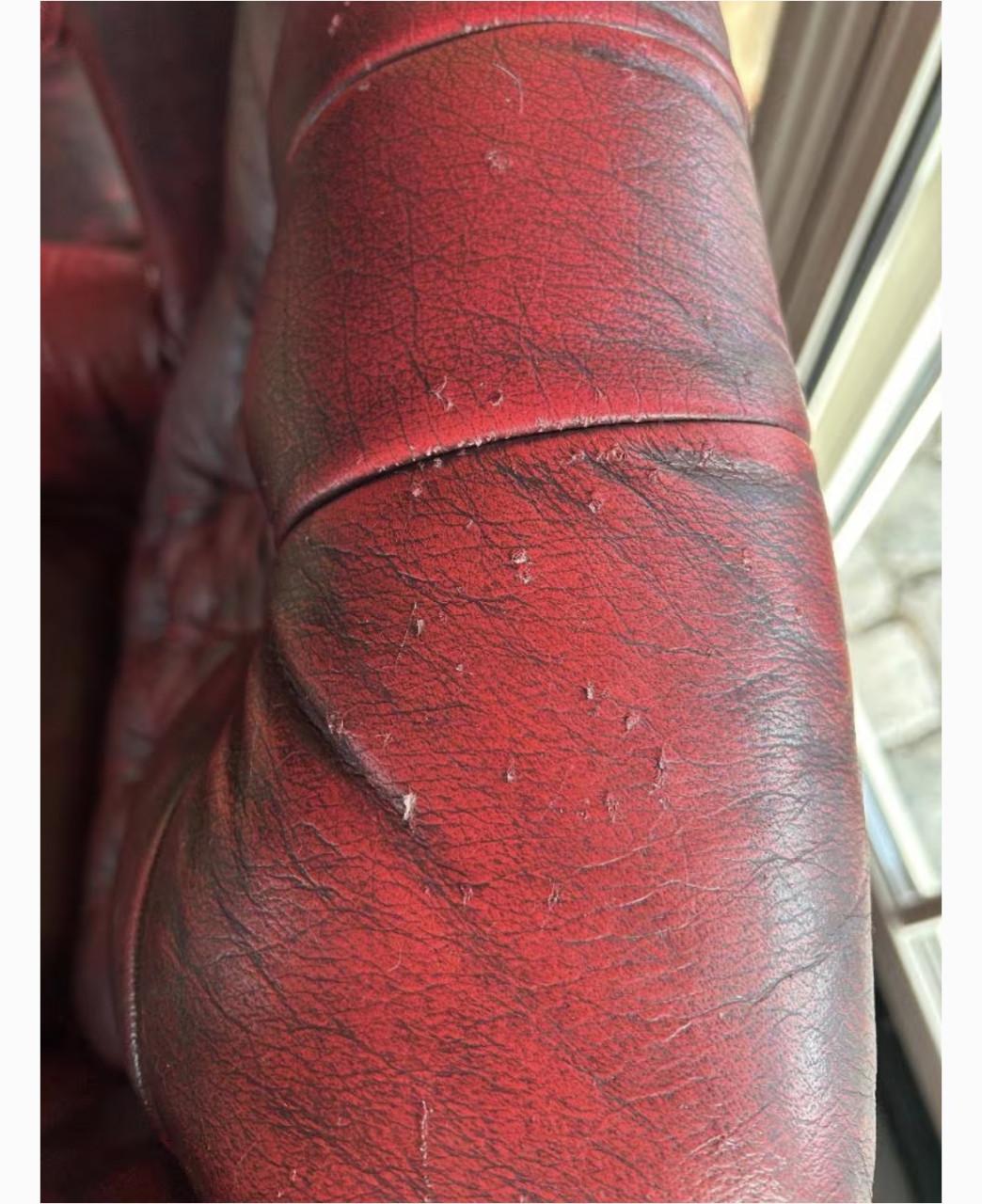 Prachtige Chesterfield Oorfauteuils