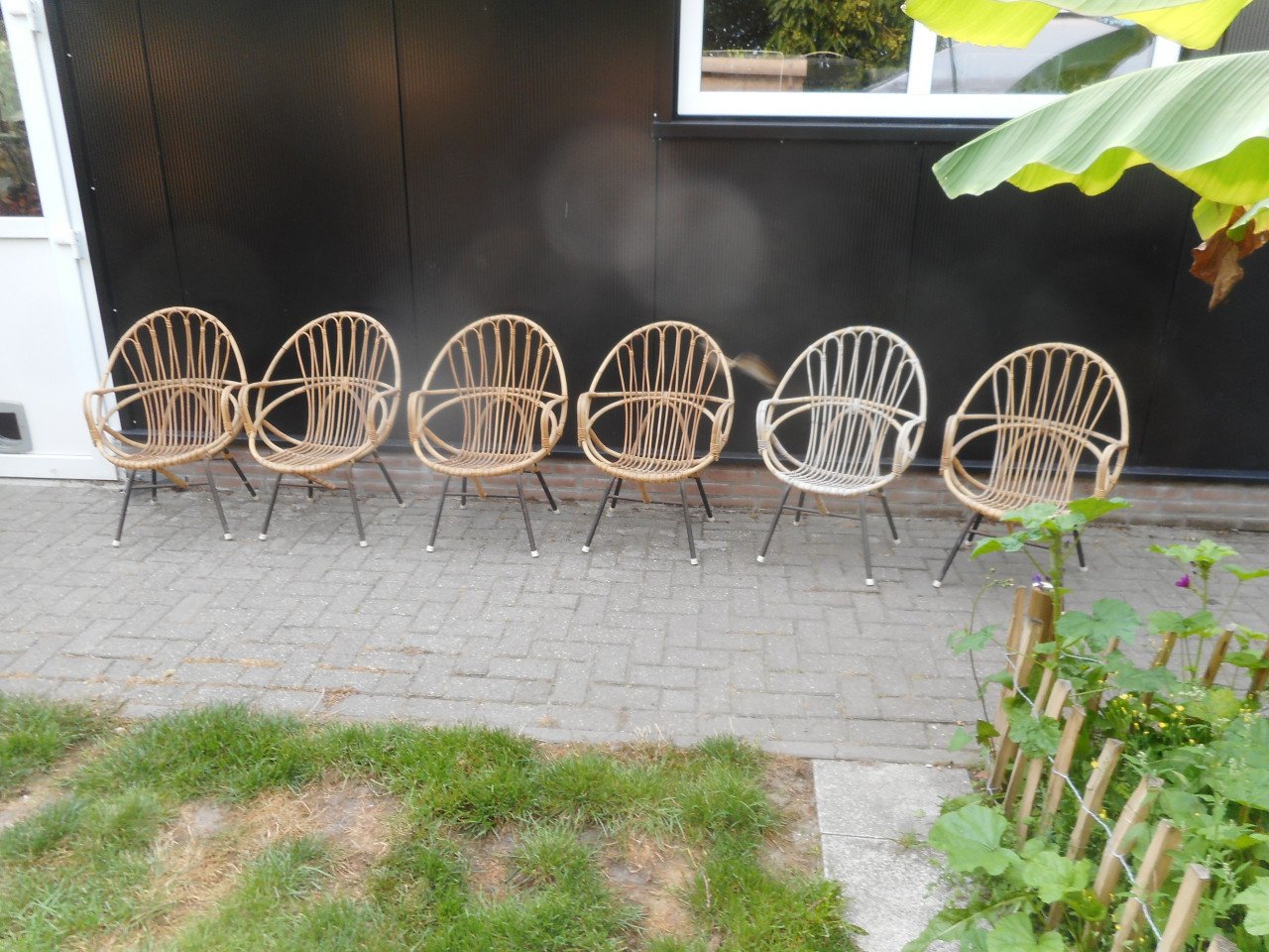 6 Rotan kuips stoeltjes