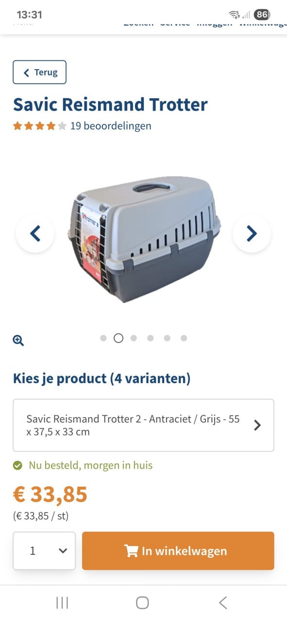 Reismand kat