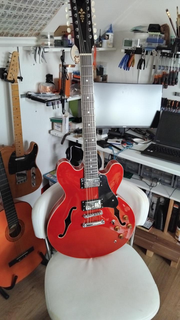 Semi hollow body 12 snarige elektrischhe gitaar