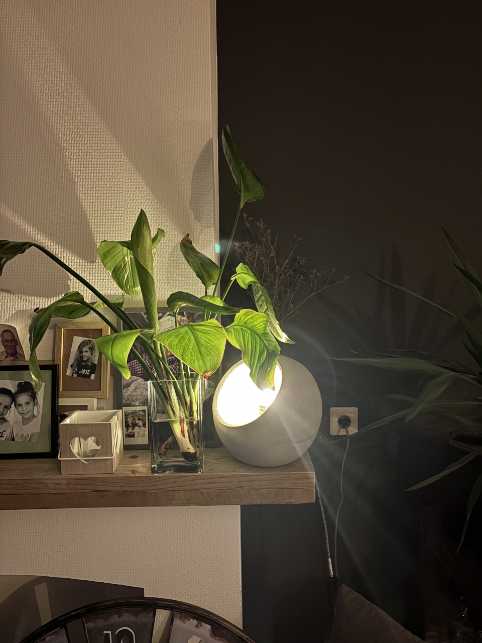Lamp