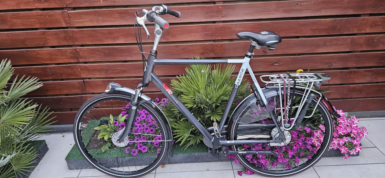Gazelle Eclipse Limited 65 cm Herenfiets