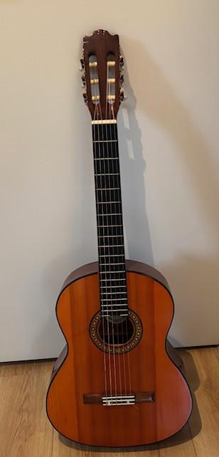 Spaanse cq klassieke gitaar voor jou?