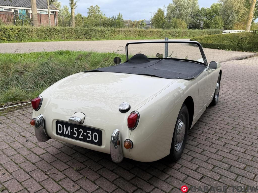 Austin Healey Onbekend sprite mk1 frogeye