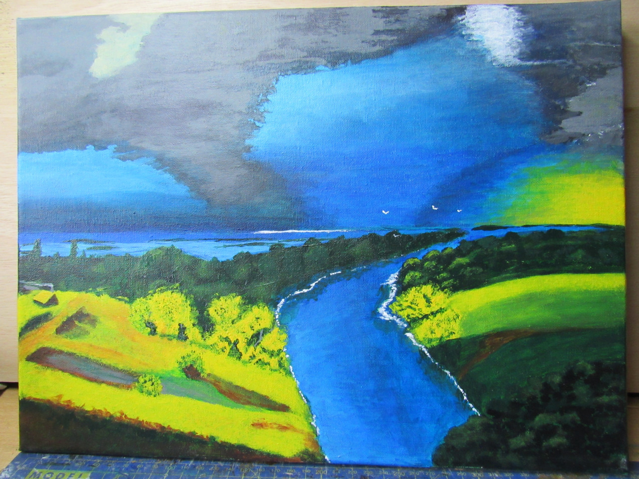 Acrylschilderijen