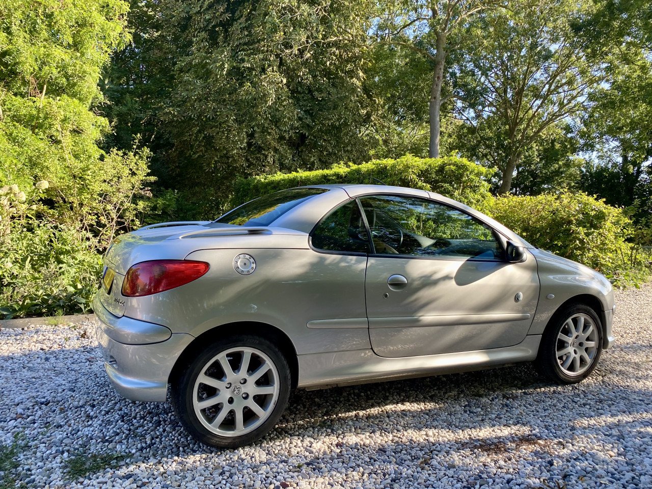 Leuke Peugeot 206 cc Roland G. | NW APK