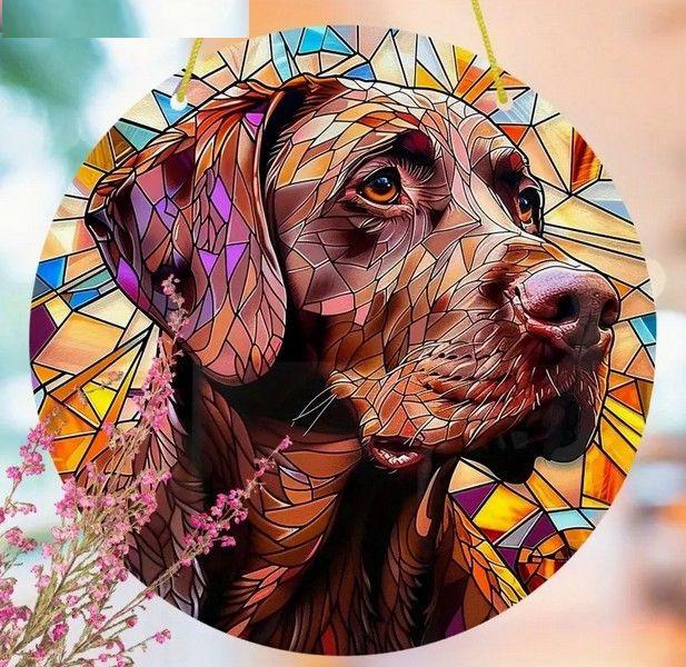 Raamhanger labrador ( kleurrijk )